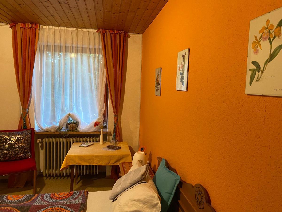 Pension Waldblick Spiegelau Exterior foto