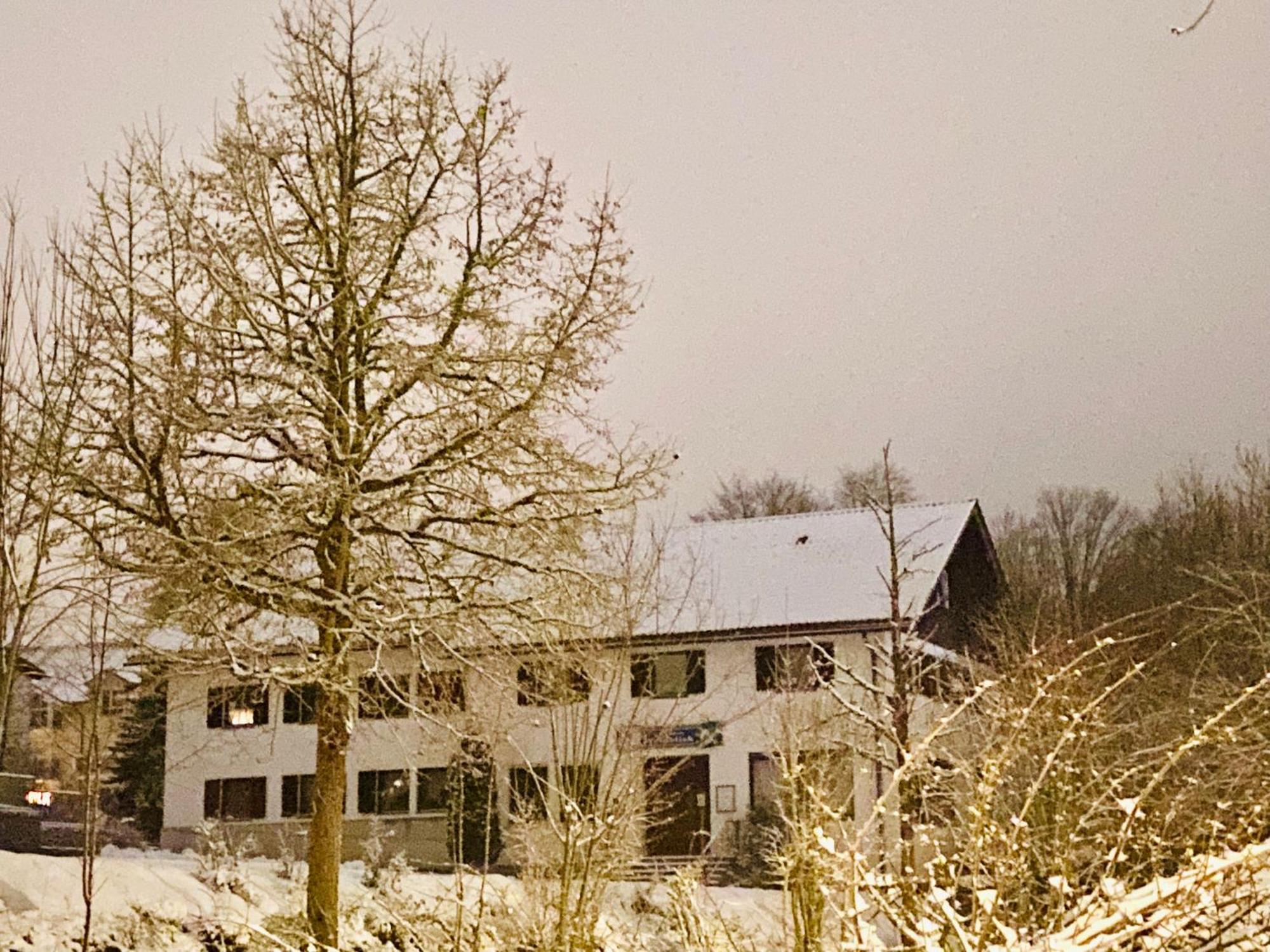 Pension Waldblick Spiegelau Exterior foto