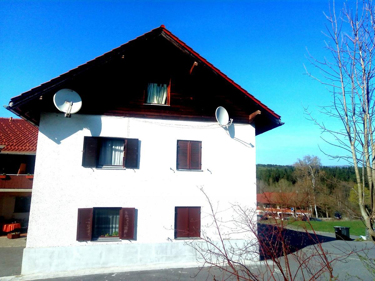 Pension Waldblick Spiegelau Exterior foto