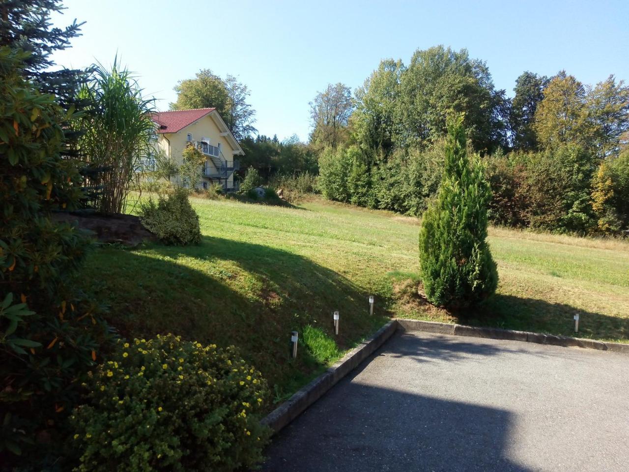 Pension Waldblick Spiegelau Exterior foto